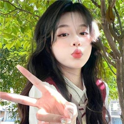 监察局长